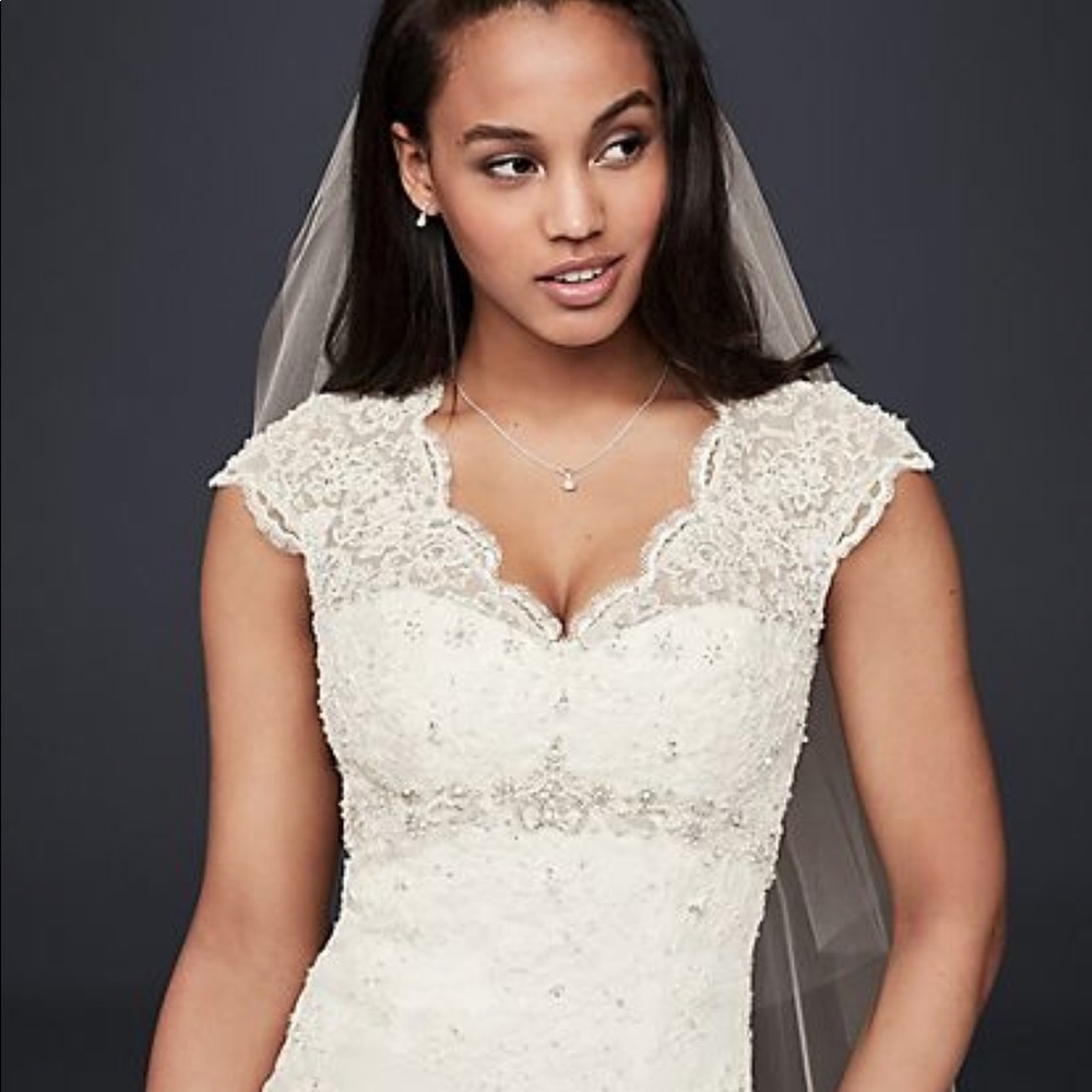David’s Bridal Collection Wedding Dress